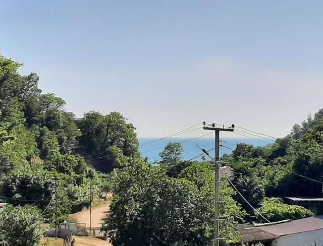 Гостевой дом Гостевой дом Диана Пицунда-15