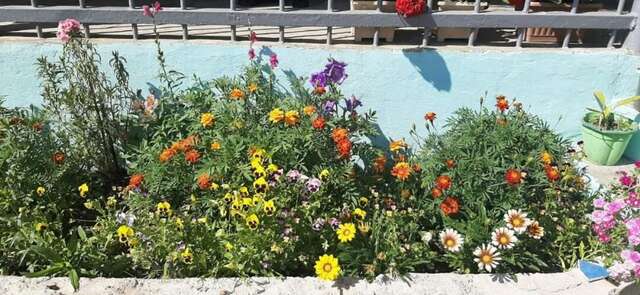 Гостевой дом Гостевой дом Диана Пицунда-16